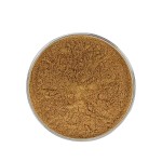 Tempeh Extract Powder Manufacturer - Food Grade Powder for Health Care Supply