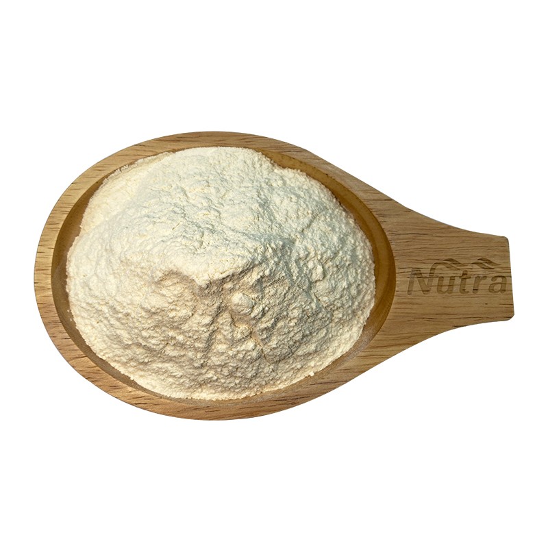 Organic Soy Protein Powder Manufacturer - Wholesale Food Additives Soy Protein Powder