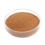 Tempeh Extract Powder Manufacturer - Food Grade Powder for Health Care Supply