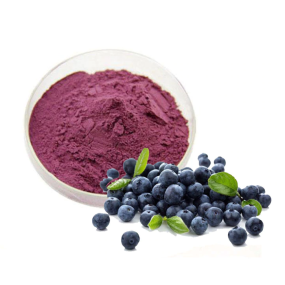 Freeze Dried Blueberry Juice Powder Manufacturer - High Quality 99.99% Water Soluble Fresh Powder