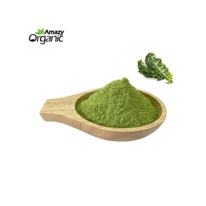 Organic Kale Powder Manufacturer - Hot Selling Vegetable Powder Solvent Extraction Leaf Fruit Dry Powder