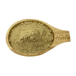 Carrageenan Extract Manufacturer - Factory Direct Supply Carrageenan Powder Wholesale