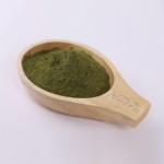 Luo Han Guo Extract Manufacturer - Supply for Sale