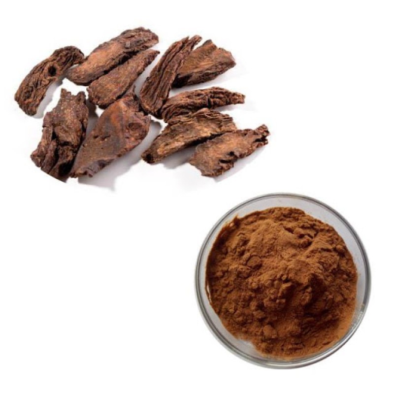 Cynomorium Extract Powder Manufacturer - Natural Chinese Herb Medicine Cynomorium Songaricum Rupr Powder Supply