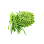 Barley Leaf Juice Powder Manufacturer - China Factory Organic Barley Grass Powder Supply
