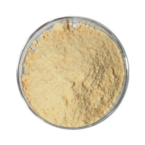Grapefruit Powder Manufacturer - Bulk Supply Yuzu Powder Fruit Concentrate Juice Extract Powder