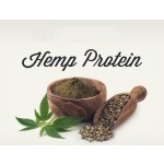 Hemp Seed Protein Powder Manufacturer - Factory Supply High Quality Organic 70% 79% Vegan Protein Powder Bulk