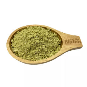 Pumpkin Seed Extract Manufacturer - Factory Supply Organic 20:1 Food Grade Pumpkin Seed Protein Powder