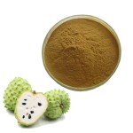 Cherimoya Concentrate Juice Powder Manufacturer - Organic Annona Squamosa Custard Apple Powder Supply
