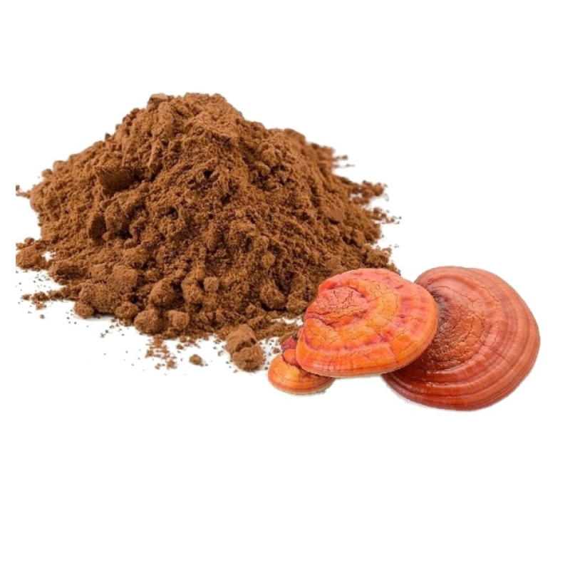 Reishi Extract Powder Manufacturer - Supply Pure High Quality Organic 10:1 5:1 Extract with 10% 20% 30% 40% 50% Polysaccharide