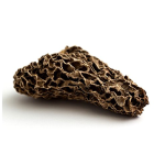 Dried Black Morchella Esculenta Manufacturer - Whole Wild Morel Mushrooms for Sale