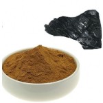 Shilajit Extract Powder Manufacturer - Pure Natural High Quality Food Grade 50% Fulvic Acid Supply
