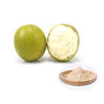 Ceremonial Grade Matcha Powder Manufacturer - USDA Organic Certified Free Sample Supply