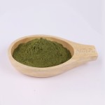 Luo Han Guo Extract Manufacturer - Supply for Sale