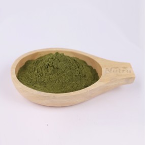 Luo Han Guo Extract Manufacturer - Supply for Sale