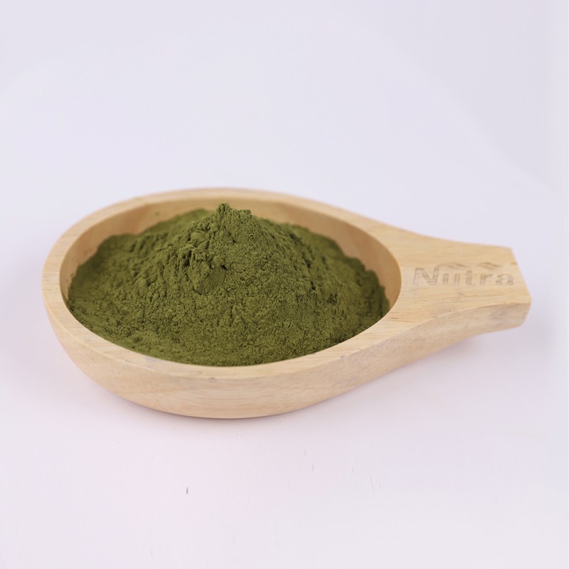 Luo Han Guo Extract Manufacturer - Supply for Sale