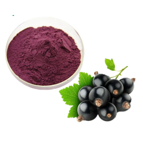 Black Currant Extract Manufacturer - Factory Supply Drum Packed Blackcurrant Juice Powder