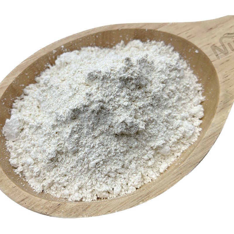 Organic Rice Protein Isolate Manufacturer - Bulk Bag Food Ingredients HACCP Organic Halal Best Price for Private Label