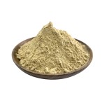 Non-dairy Creamer Manufacturer - Factory Price Vegetable Fat Powder Non-dairy Powder