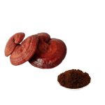 Organic Reishi Spore Powder Manufacturer - Supply Pure High Quality Raw Free Sample Best Price for Sale