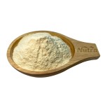 Pumpkinseed Protein Extract Powder Manufacturer - Wholesale Certified Pumpkin Seed Protein Pumpkin Powder for Sale
