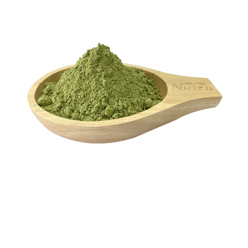 Matcha Green Tea Powder Manufacturer - Food Grade 100% A AA 3AAA Ceremonial Grade Powder Supply