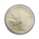 Oat Milk Powder Manufacturer - Wholesale 100% Water Soluble Organic Oat Powder