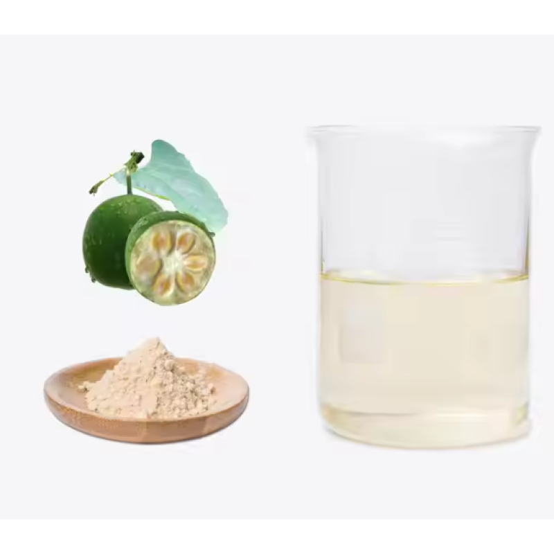 Ceremonial Grade Matcha Powder Manufacturer - USDA Organic Certified Free Sample Supply