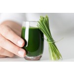 Wheatgrass Powder Manufacturer - Natural Commercial Plant Extract Supplement Organic Wheat Grass Powder