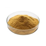 Hawthorn Extract Manufacturer - High Quality Hawthorn Fruit Powder Crataegus Pinnatifida Extract Supply