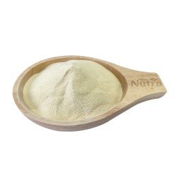 Garlic Products Manufacturer - Air Dried Garlic Granules Odorless Garlic Powder Dehydrated Minced Garlic Supply
