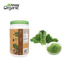 Organic Kale Powder Manufacturer - Hot Selling Vegetable Powder Solvent Extraction Leaf Fruit Dry Powder