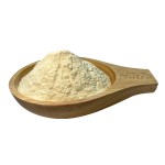 Pumpkinseed Protein Extract Powder Manufacturer - Wholesale Certified Pumpkin Seed Protein Pumpkin Powder for Sale