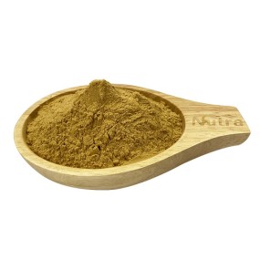 Turtle Shell Extract Manufacturer - Hot Selling Organic Turtle Shell Extraction Powder Supply