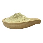 Mung Bean Protein Isolate Manufacturer - Professional Production Organic Healthy Plant Protein Powder