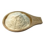 Pumpkinseed Protein Extract Powder Manufacturer - Wholesale Certified Pumpkin Seed Protein Pumpkin Powder for Sale