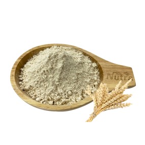 Gluten-free Oat Milk Powder Manufacturer - Non-Additive Powder for Meal Replacement