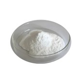 Ceremonial Grade Matcha Powder Manufacturer - USDA Organic Certified Free Sample Supply