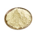 Organic Pineapple Powder Manufacturer - Wholesale Freeze Dried Pineapple Extract Powder for Tea