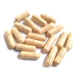 Ceremonial Grade Matcha Powder Manufacturer - USDA Organic Certified Free Sample Supply