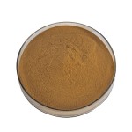 Carrageenan Extract Manufacturer - Factory Direct Supply Carrageenan Powder Wholesale