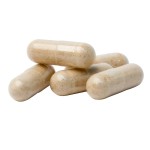 Ceremonial Grade Matcha Powder Manufacturer - USDA Organic Certified Free Sample Supply