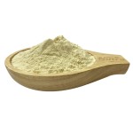 Organic Bee Honey Powder Manufacturer - High Quality Instant Bee Honey Powder Supply