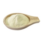 Garlic Products Manufacturer - Air Dried Garlic Granules Odorless Garlic Powder Dehydrated Minced Garlic Supply