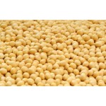 Organic Soy Protein Powder Manufacturer - Wholesale Food Additives Soy Protein Powder