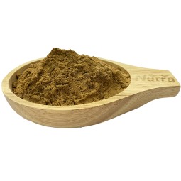 Red Spinach Powder Manufacturer - Factory Supply Bulk Organic Red Spinach Extract