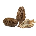 Dried Black Morchella Esculenta Manufacturer - Whole Wild Morel Mushrooms for Sale
