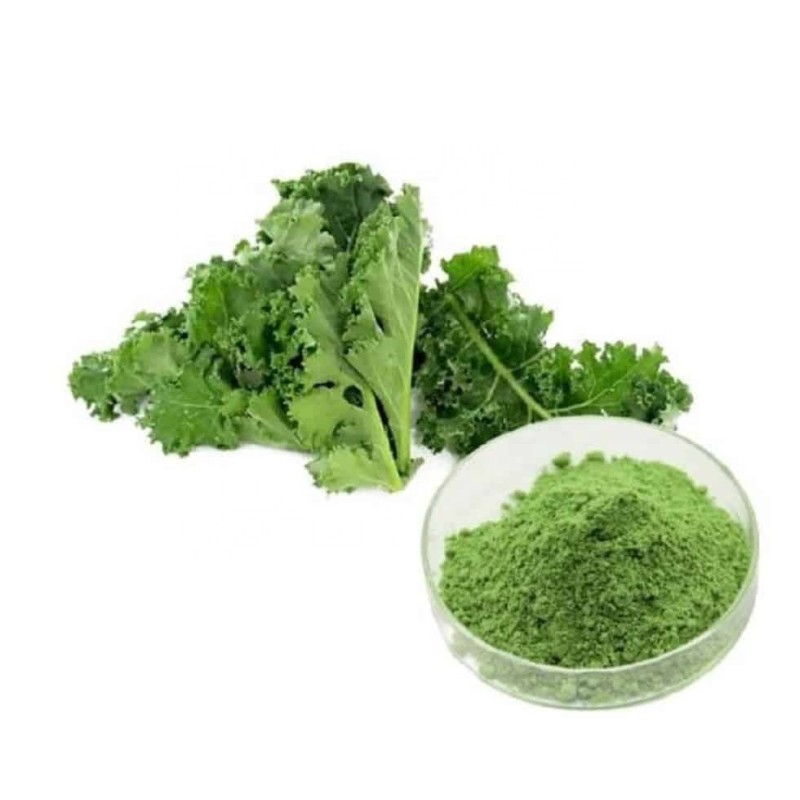 Organic Kale Powder Manufacturer - Factory Supply Good Quality Bulk Dried Collard Kale Powder for Sale