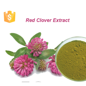 Red Clover Leaf Powder Manufacturer - Supply High Quality Free Sample Best Price Red Clover Extract Powder