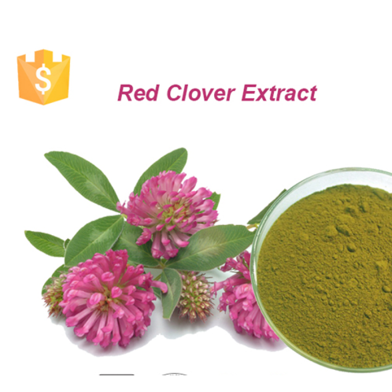 Red Clover Leaf Powder Manufacturer - Supply High Quality Free Sample Best Price Red Clover Extract Powder
